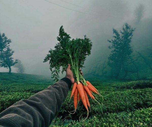 WhatsApp Image 2026-01-15 at 20.40.10